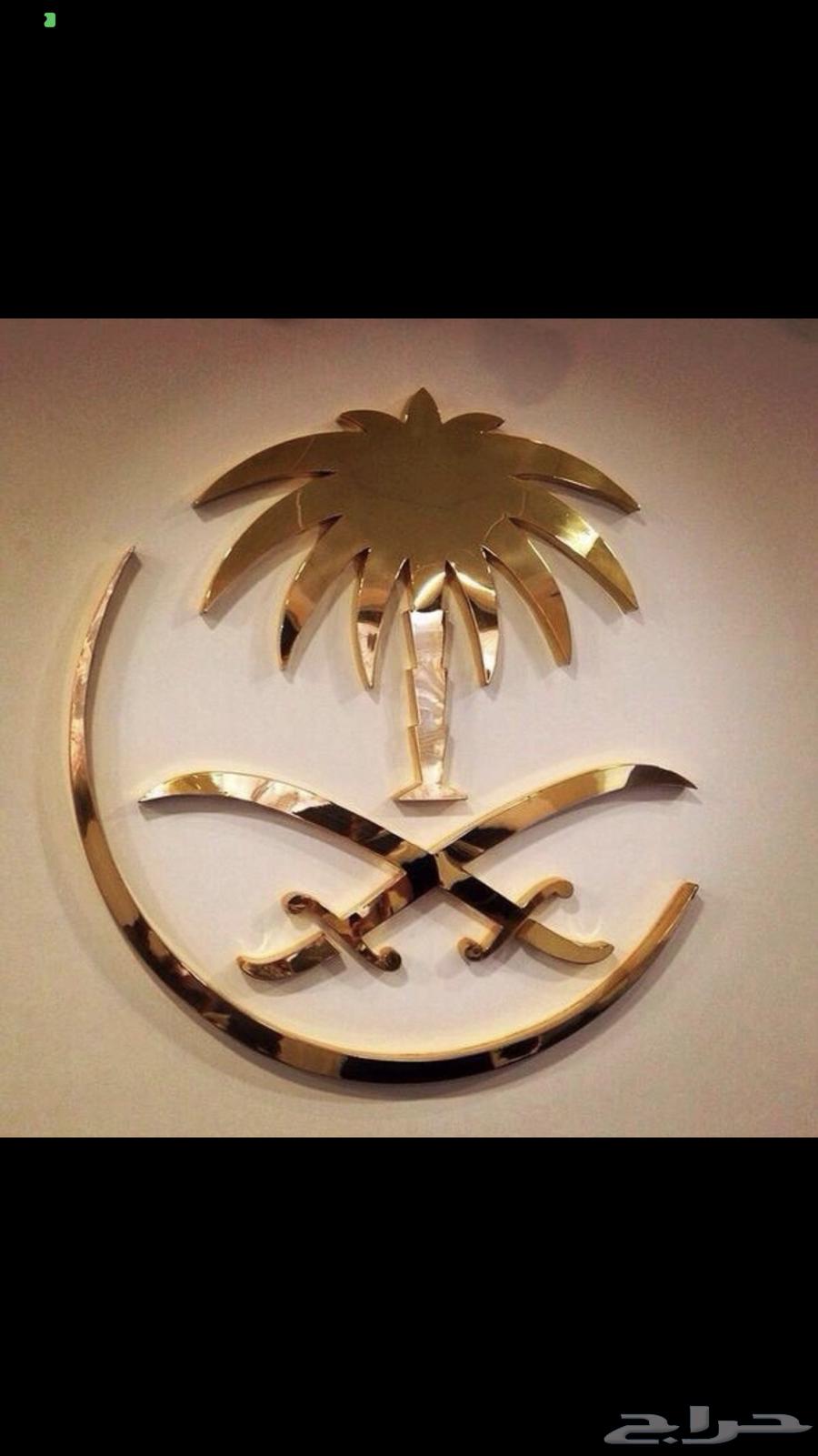 Writing a petition64217408389505110