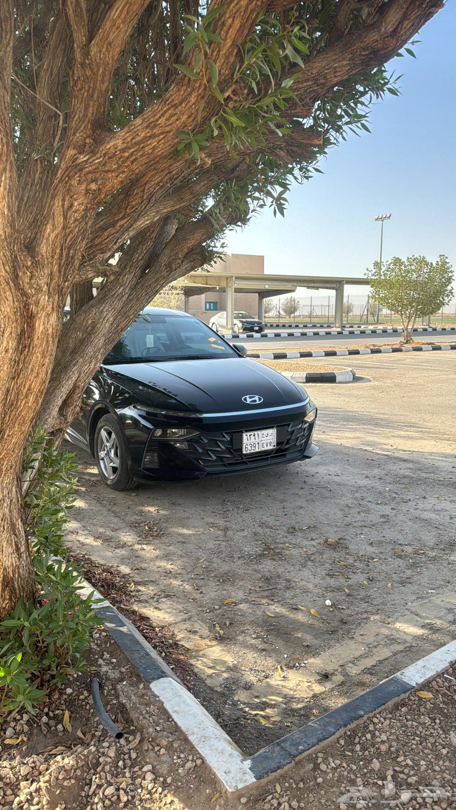 كادي ماشي الرياض64217410465539110