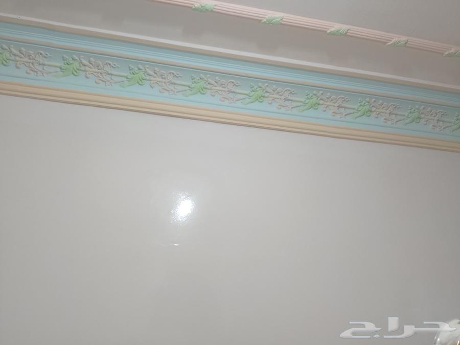 فني بويات دهانات وديكورات64225644215298114