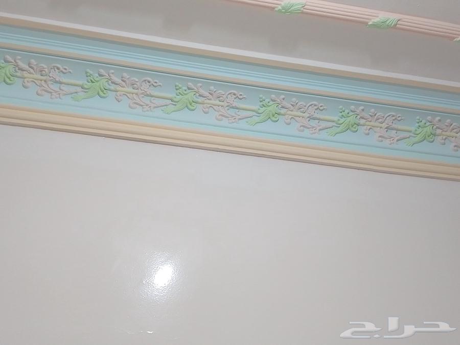 فني بويات دهانات وديكورات64225644215298111