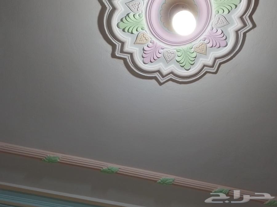 فني بويات دهانات وديكورات64225644215298112