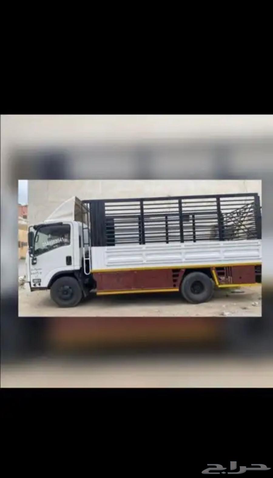 Dina for transporting all loads64217644548354111