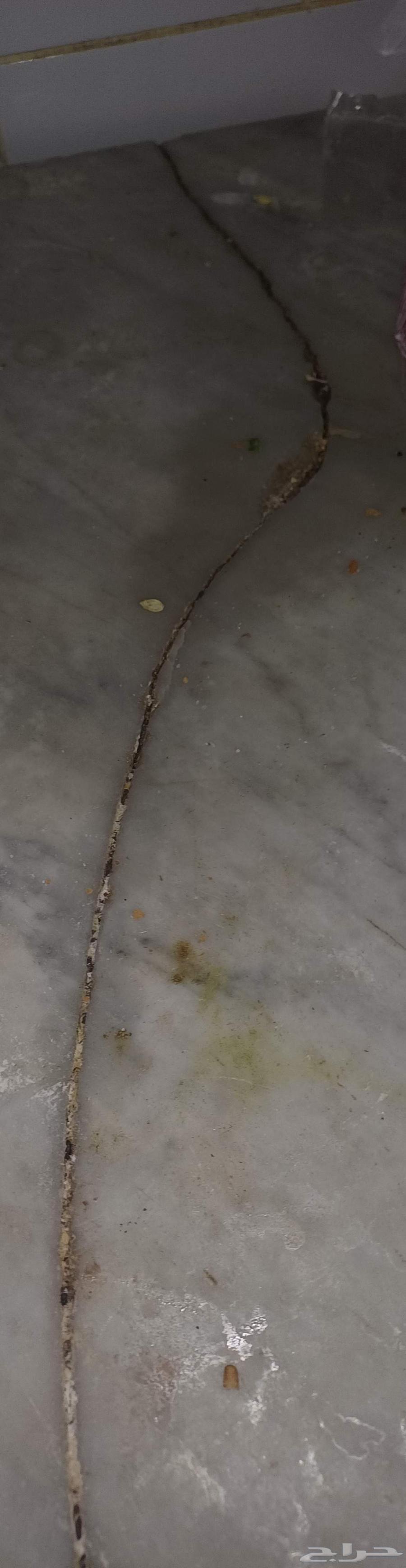 تبوك مطبخ64225644112899110