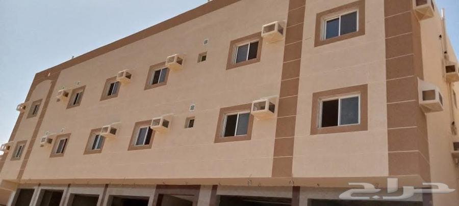 Shawq Mesh Shooq bird repeller.64217410551937111