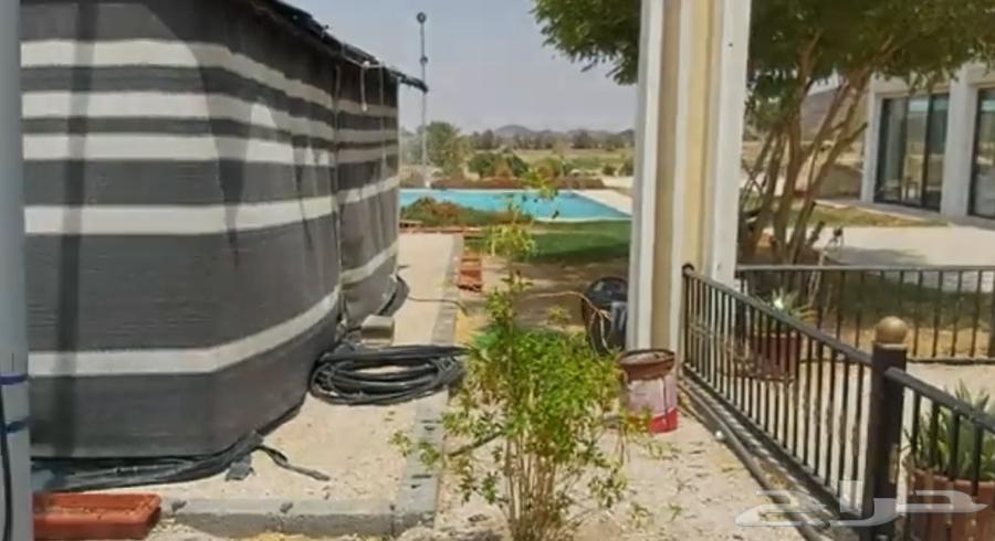 Electrician for residential buildings in Khamis Mushait, wiring buildings, installing buildings, establishing64217409718401113