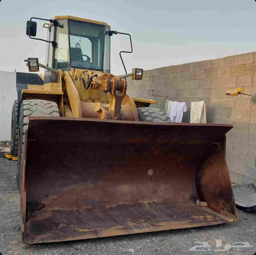 شيول للبيع خالي من الحام خالي من الكسور علي الشرط64225271928066110