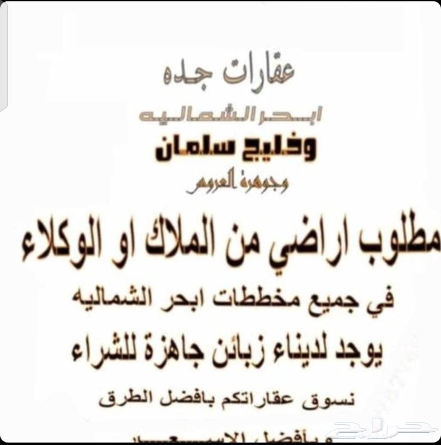 هل تبحث عن ارض نحن نبحث عن افضل السعر المغري ابو مالك العامر64216695018626112