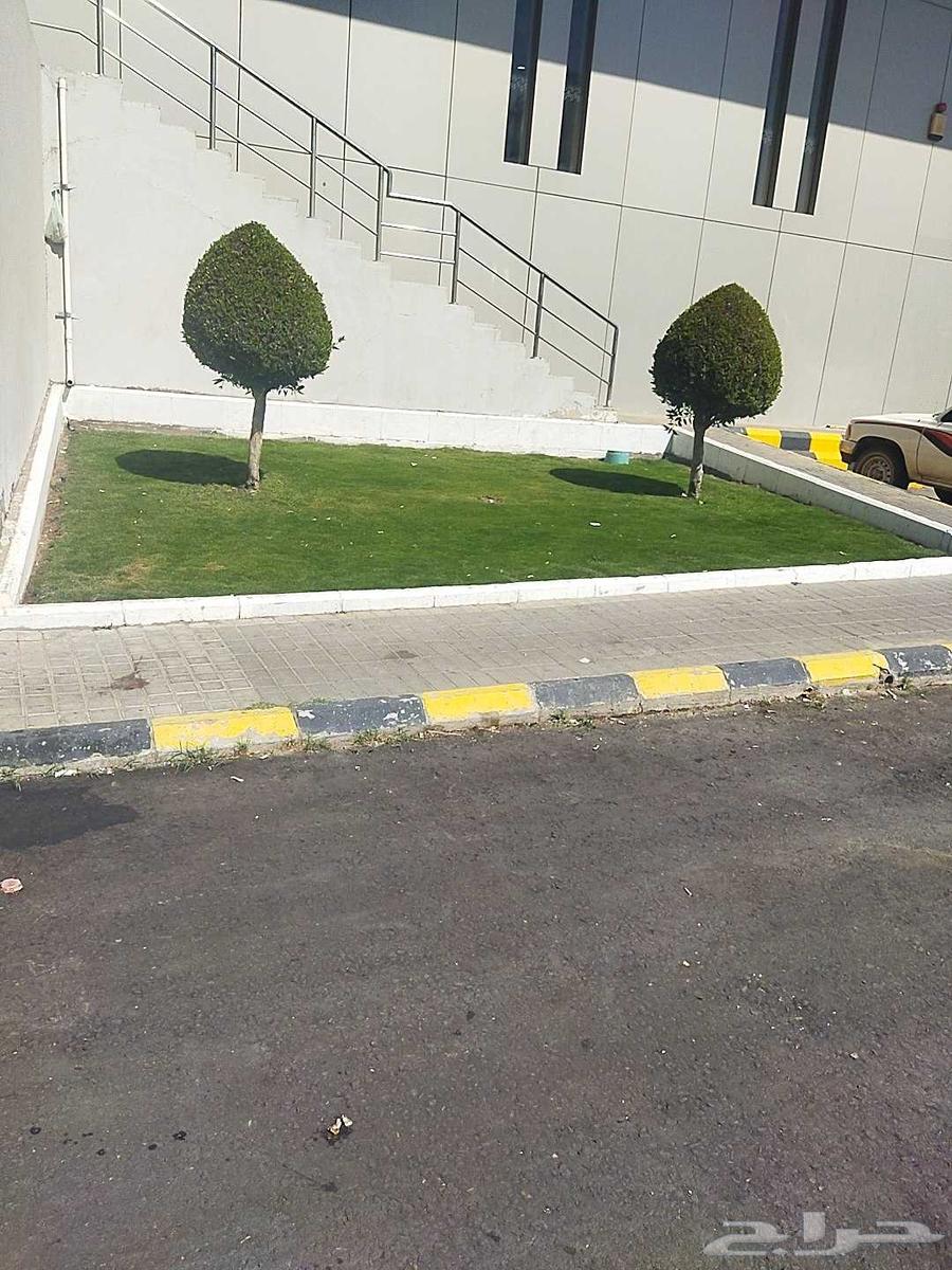 فن حدائق لاند سكيب64225454364674110