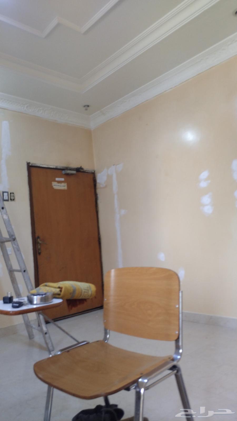 صباغ الأحساء64225272813698114