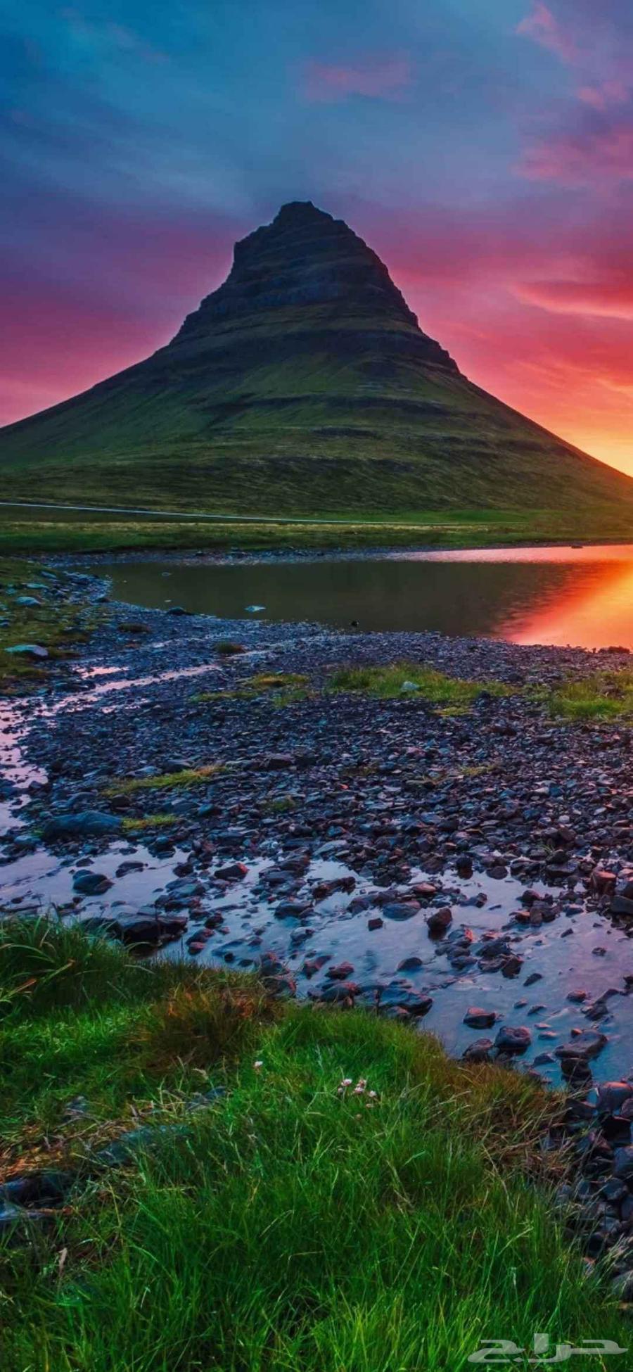 Delivery of orders and animals from the city to Tabuk, Sakaka, Al-Jouf, and Hail64217879097090110