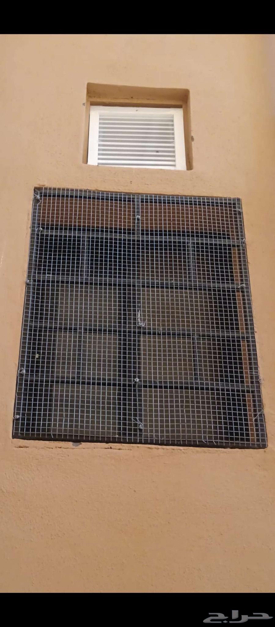 Pigeon breeding. Net. Longing.64217410142721111