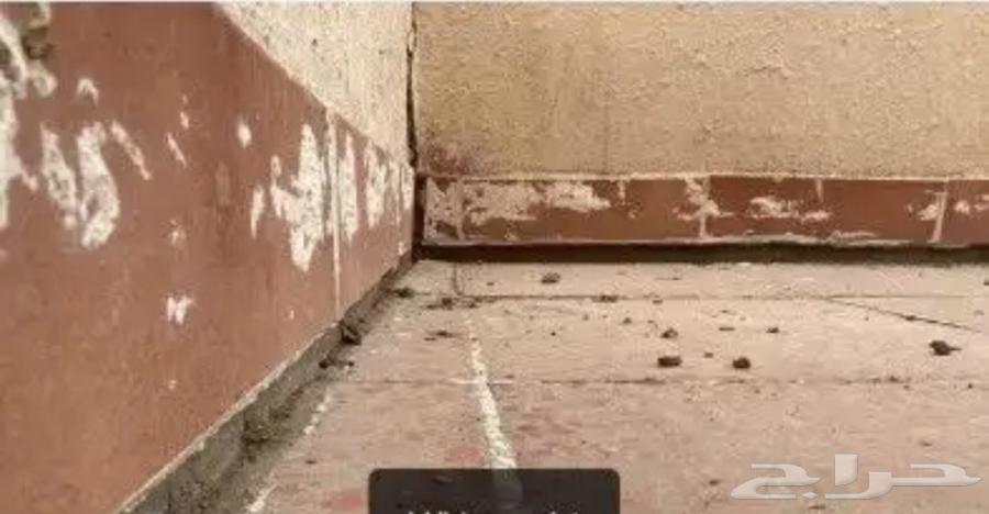 تقرير اضرار مباني والشقق المباعه عن طريق اي بنك64225455471747114