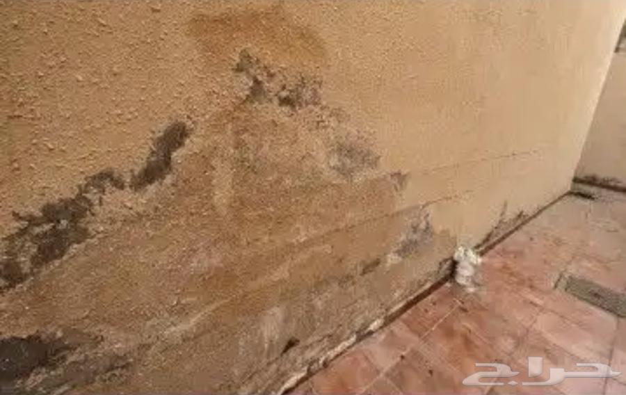 تقرير اضرار مباني والشقق المباعه عن طريق اي بنك64225455471747110