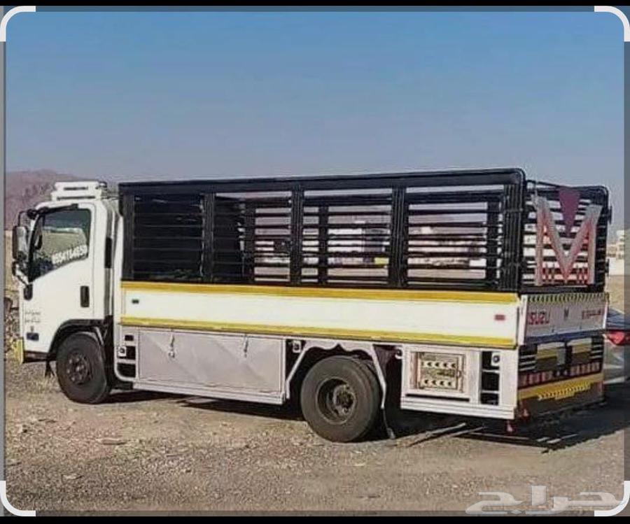 نقل عفش نقل اثاث مع الفك والتركيب داخل وخرج الرياض64217879346305110