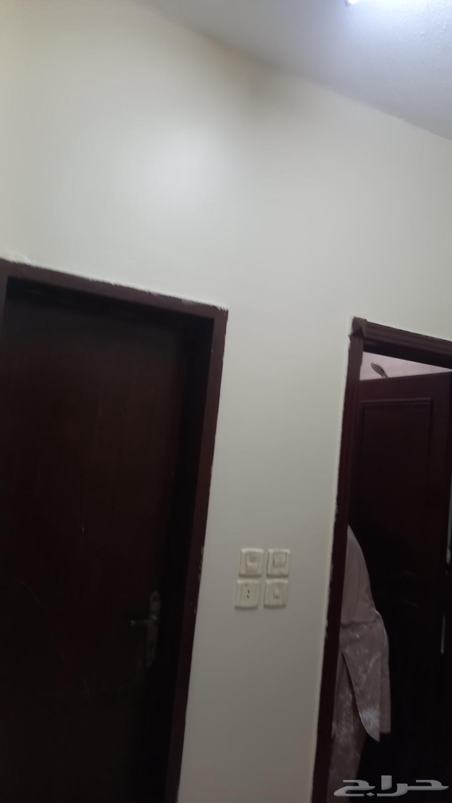 دهانات بالات جبس بورد بويا ايبوكسى مقاول باكستاني شغل ابواب64217172346754112