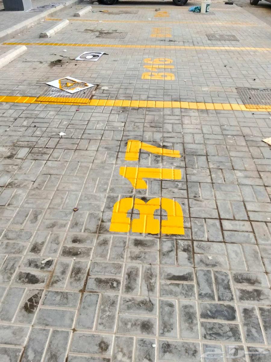 Parking layout, numbering parking spaces, and drawing disabled parking spots64216947710081110