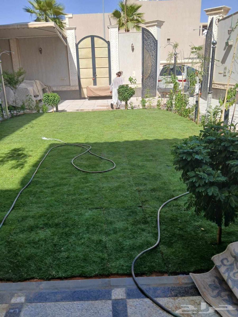 قص ثيل طبيعي64225065419265110