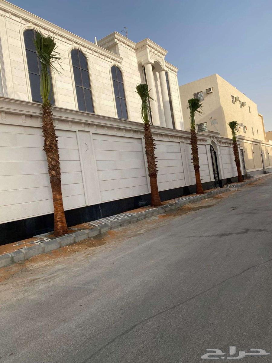 نخل واشنطن زينه64225273800835111