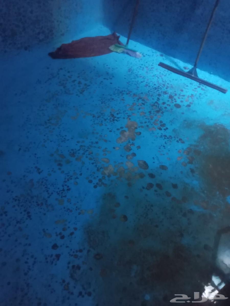 Water Leakage Detection for Bathrooms, Tanks, Humidity, Swimming Pools64225455436547111