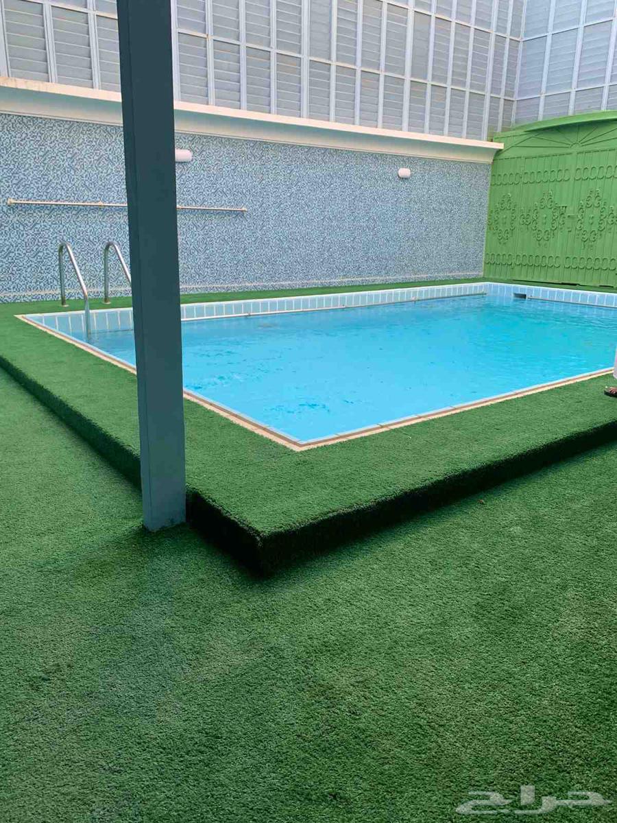 Swimming Pool Isolation and Maintenance in Jeddah64217411575299114