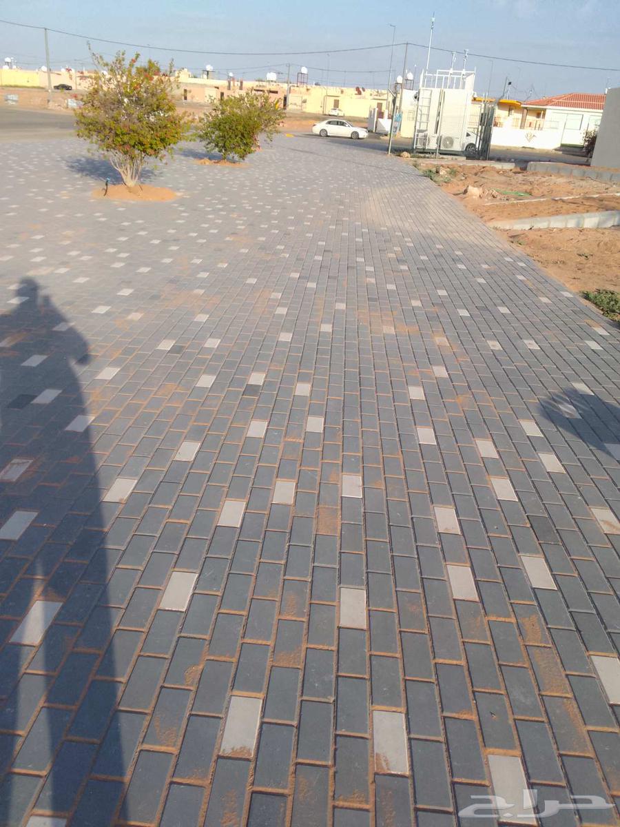 Interlock and Border Works64225271681537112