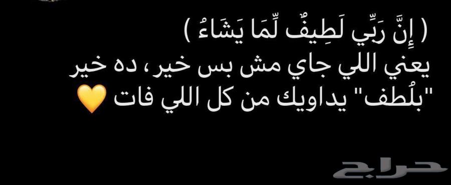 معلم جيبسوم بورد مصرى64225271509251114
