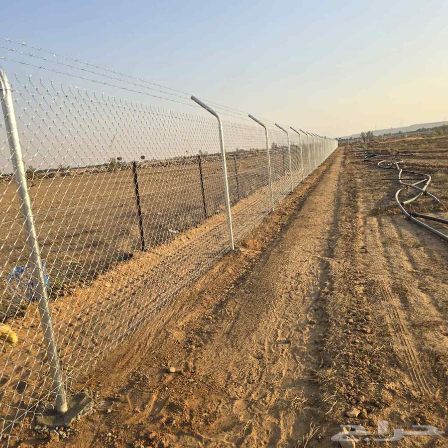 شبوك وسياج64225269985409113