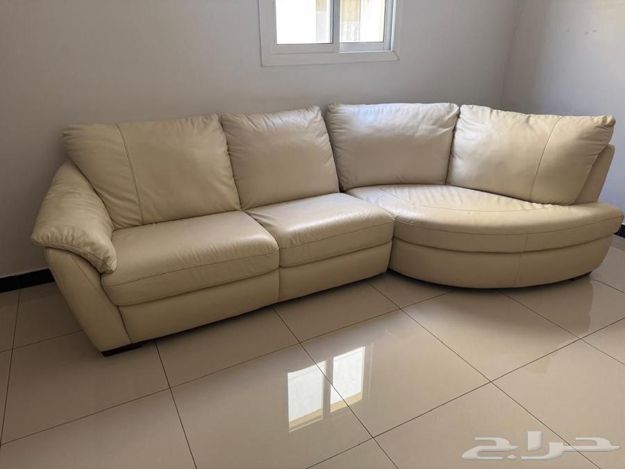 شركة نقل عفش بالرياض64225065516289112