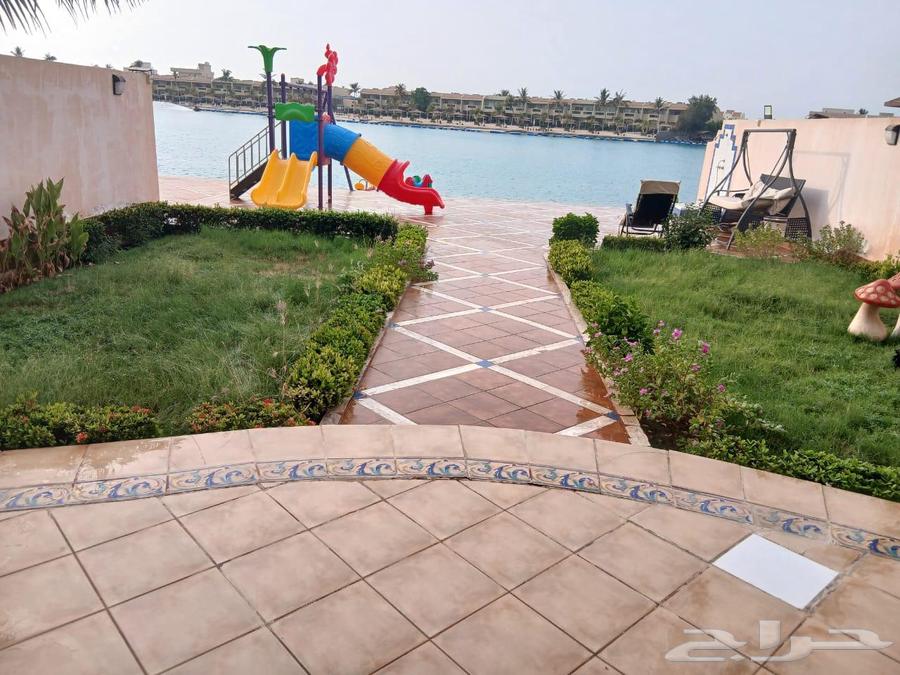 فلل وشليهات دره العروس64217160280323114