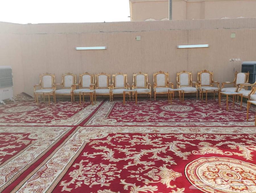 Postponement of rental camps, renting traditional tents for all occasions and events64217170451841111