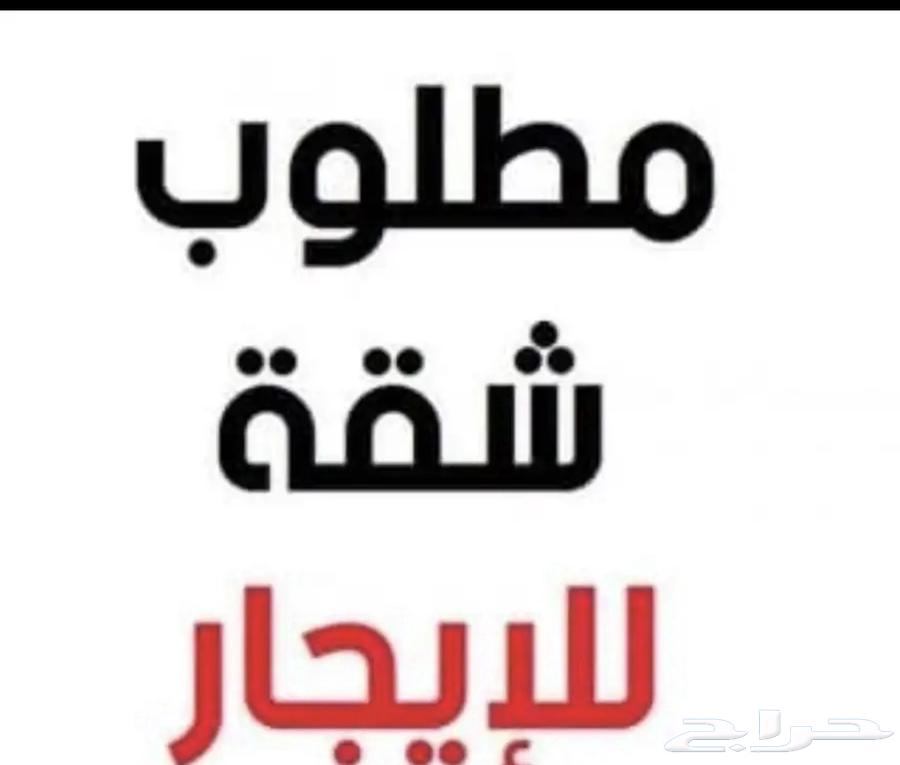 ابي شقة 6-5 غرف فالشوقيه تكون نظيفه وجديده وواسعه (للشوقية)64216693963139110