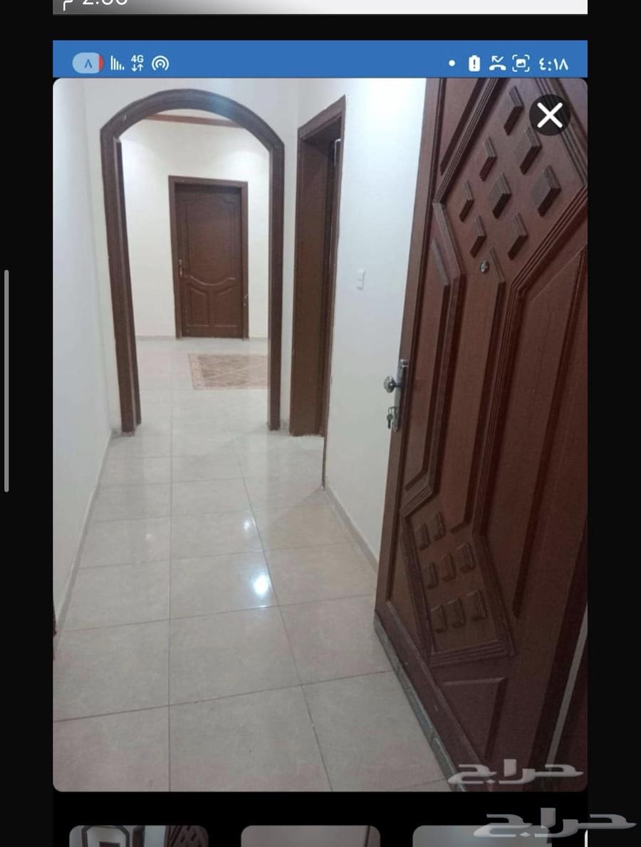 شقق عزاب حي الوزيرية دفع شهري64217160208771111