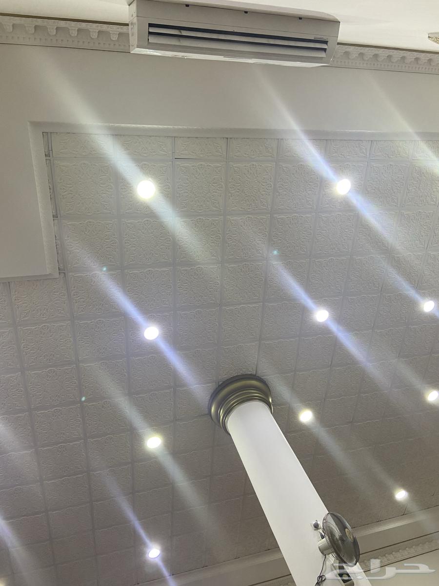 جبس اسمنت بورد اسقف مستعاره64225451399809113