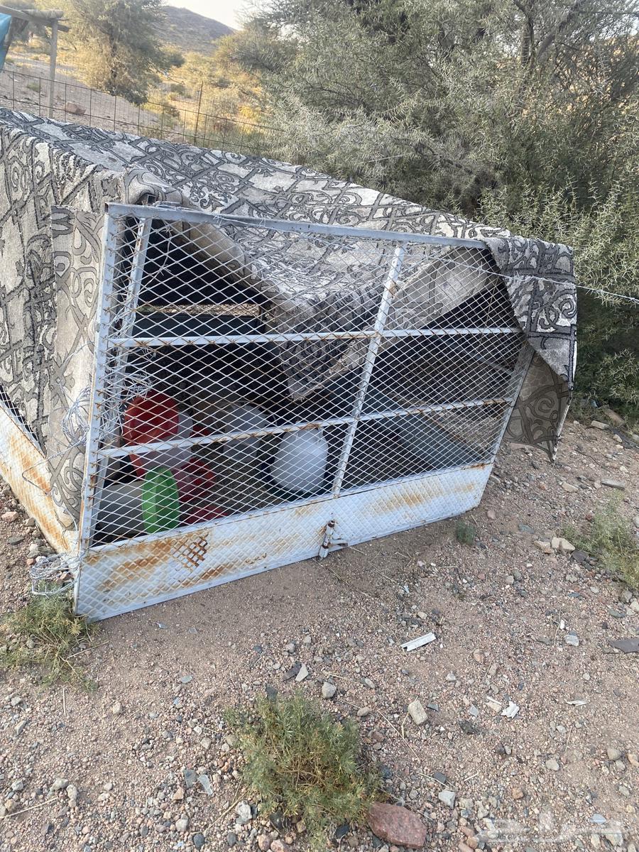 شبوك غنم ومضله و 2 مضارم64216948645890110