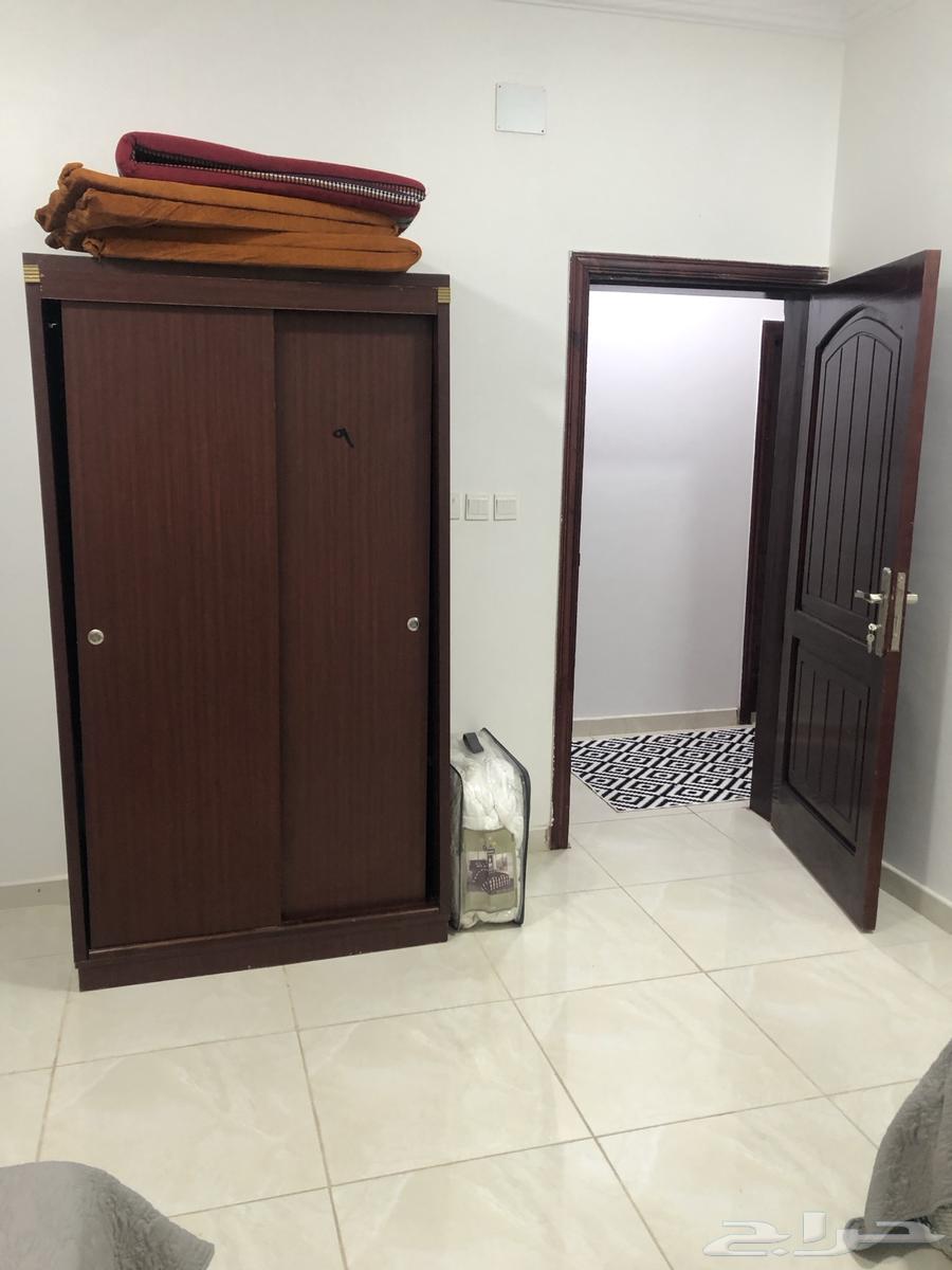 شقة للإيجار