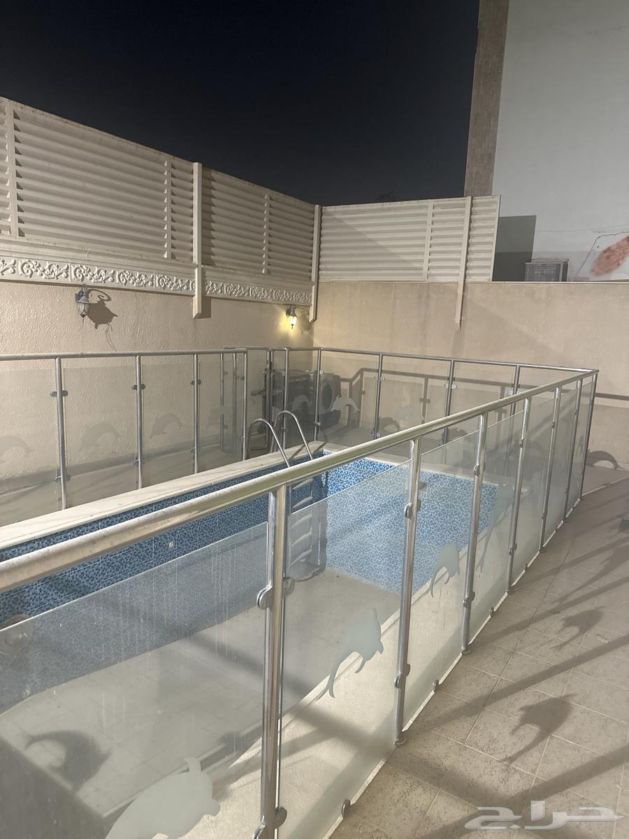 للبيع حواجز مسبح ستيل مع زجاج شكل الدلفين مقاومة للصدأ64225065567873110