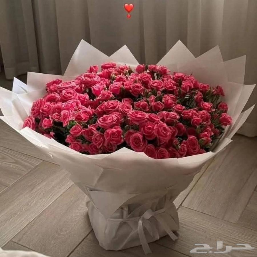 مندوب توصيل طلبات الرياض ومنسق هدايا64218073204353111