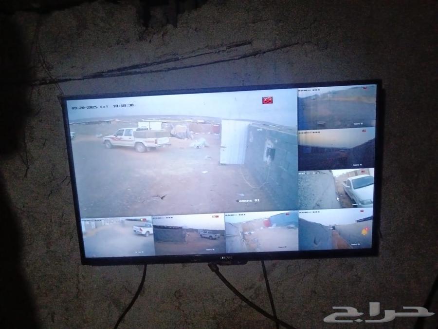 شبوك واحواش وحضاير غنم وطيور وجمال وبقر و خيول بالمدينة64216705066753112