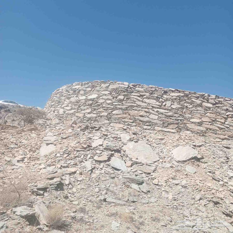 معلم حجر صغير وكبير ورباريب وترميم البيوت التراثيه في الباحه64217411199361110