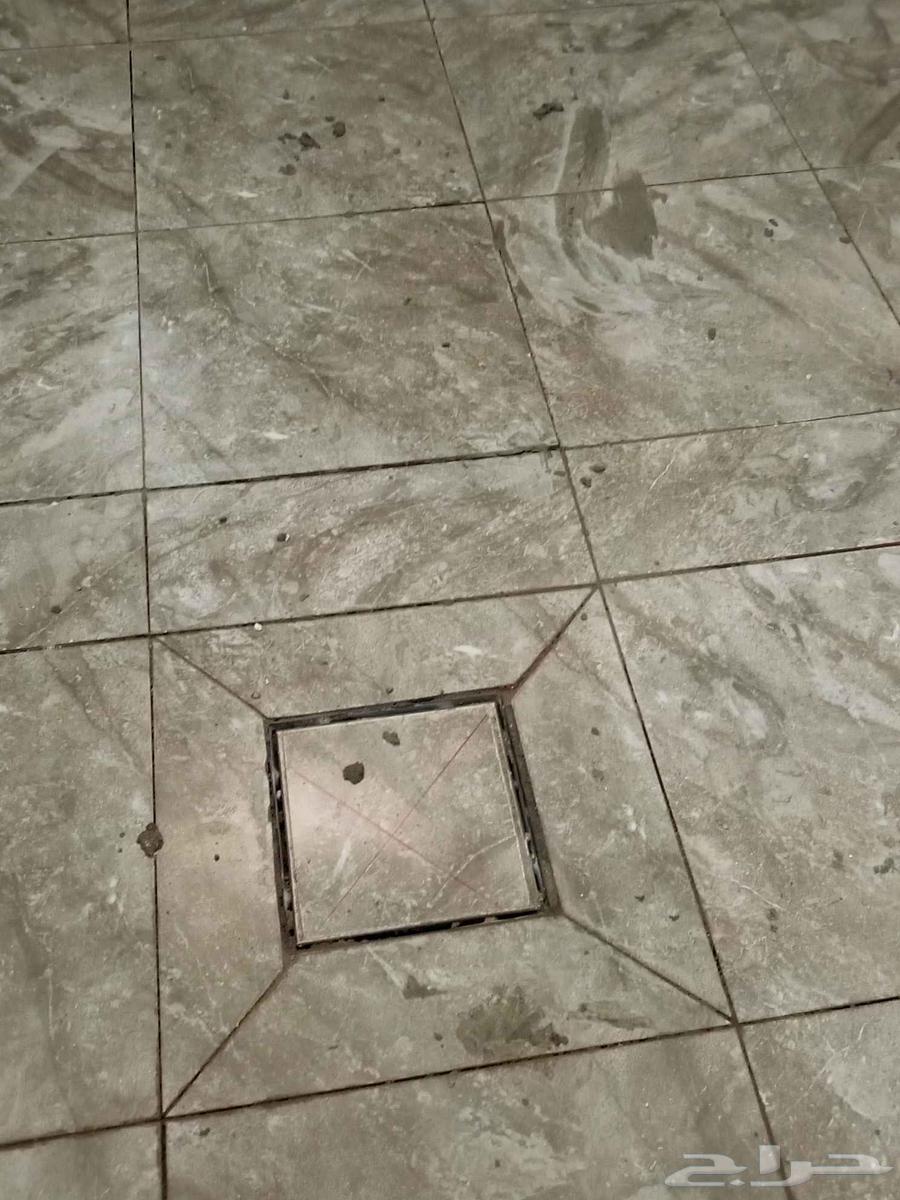 معلم ابو فرمان64225454822787111