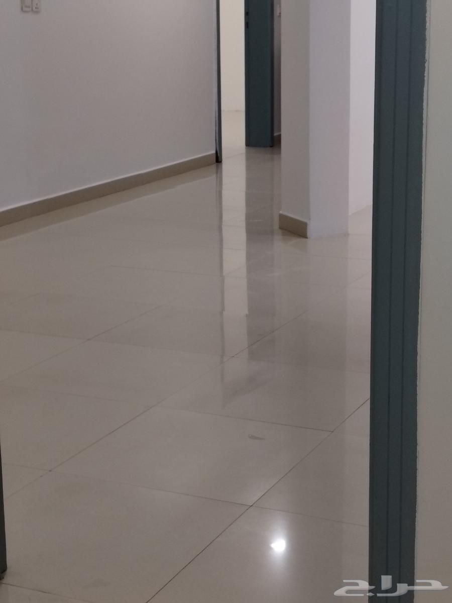 جلي بلاط64217647989634111