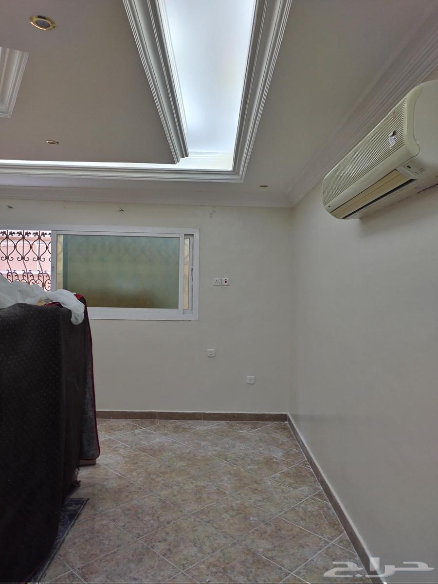 صباغ الأحساء64225272813698113