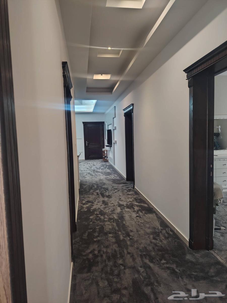 معلم جميع انواع الدهانات والديكورات64218307231619112