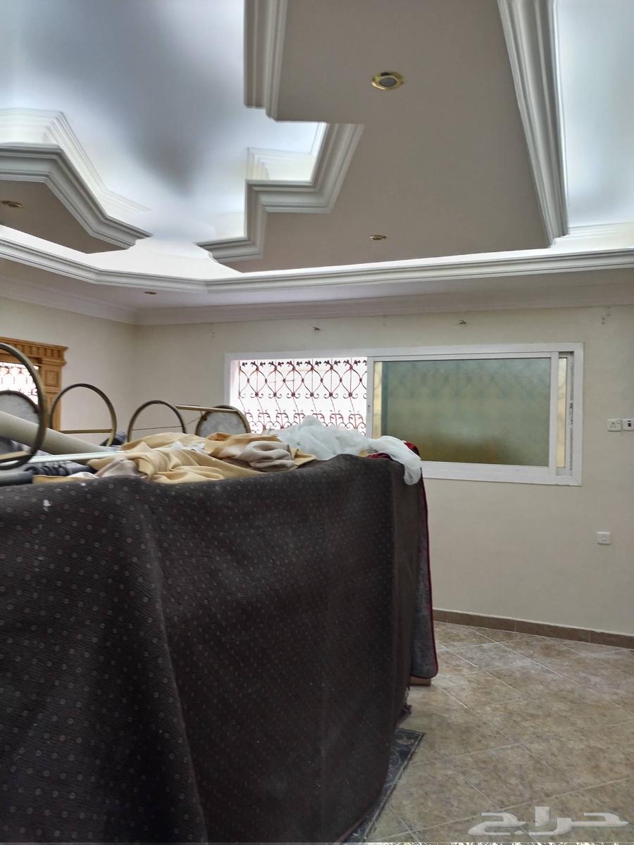 صباغ الأحساء64225272813698112