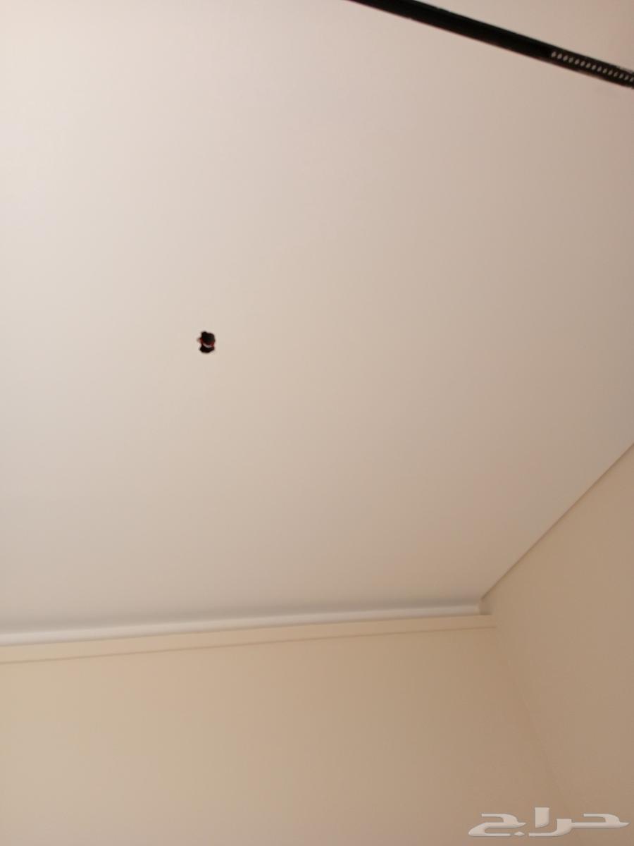 Insulating Paints in Riyadh, Price per Meter 6 Riyals Including Materials64225643045763113