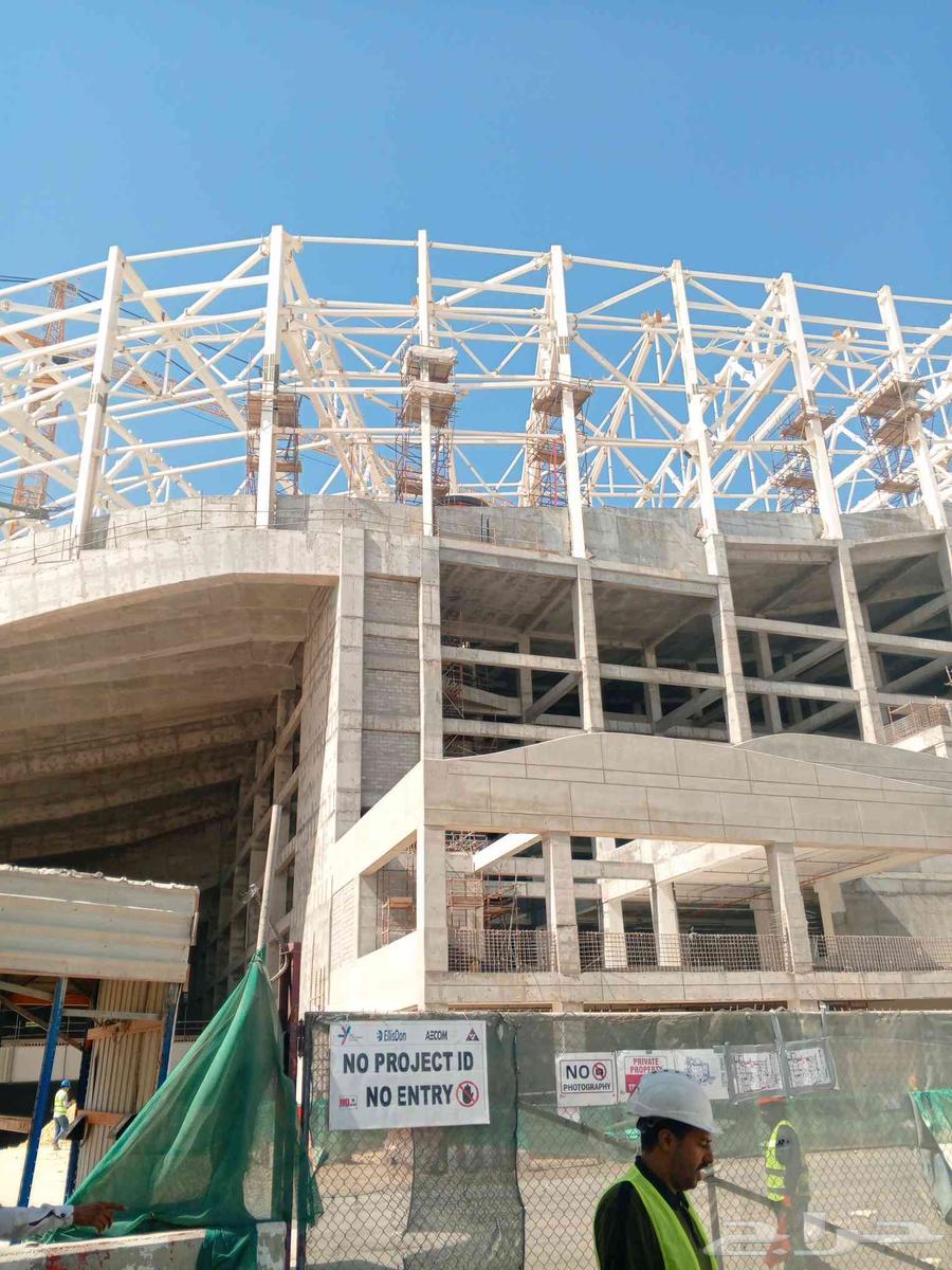 شبوك نخيل64217645571074110