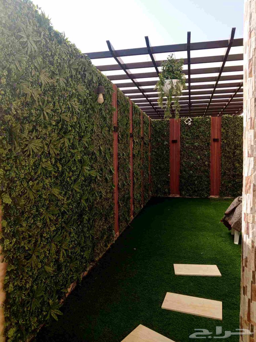 تنسيق حدائق عشب صناعي64225641788290114
