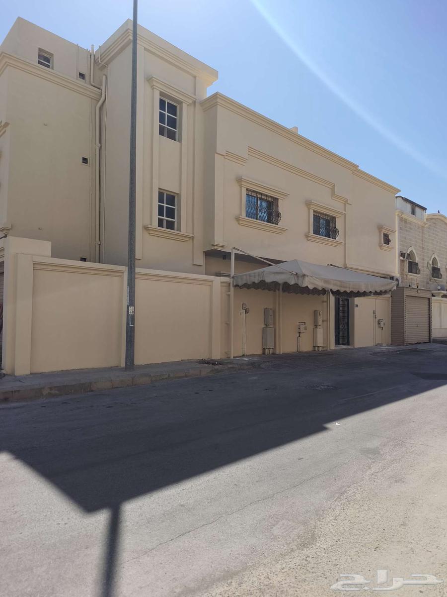 صباغ بويا داخلي خارجي عازل سطخ رويال فلفيت شغل بروبيشنل64217647511939114