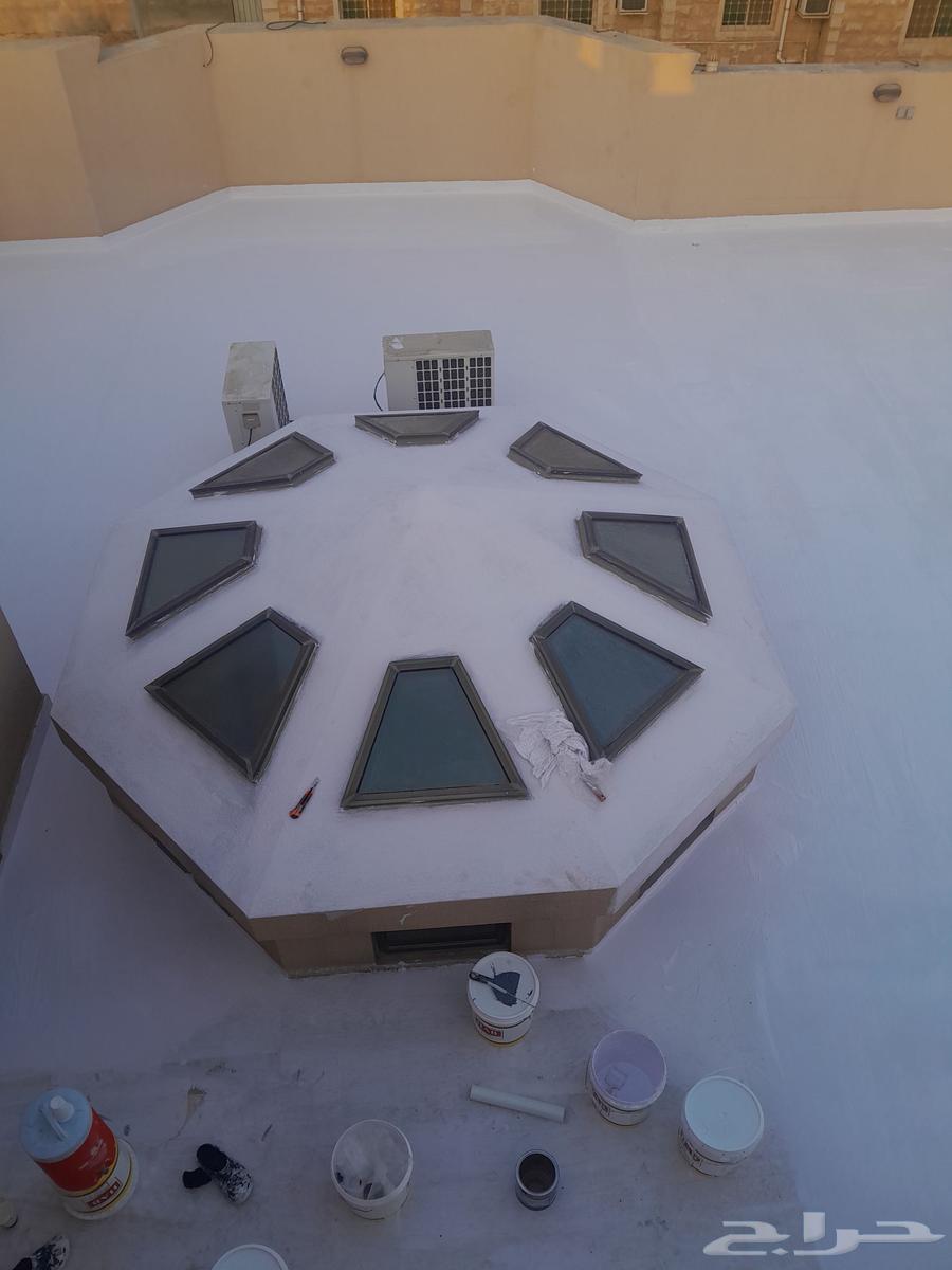 Roof Insulation with 10-Year Warranty64217876248963110