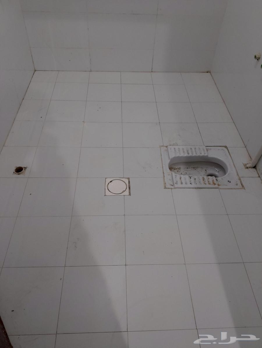 سلامي بلاط بناء تليس ت سير ترميم64216947997186112